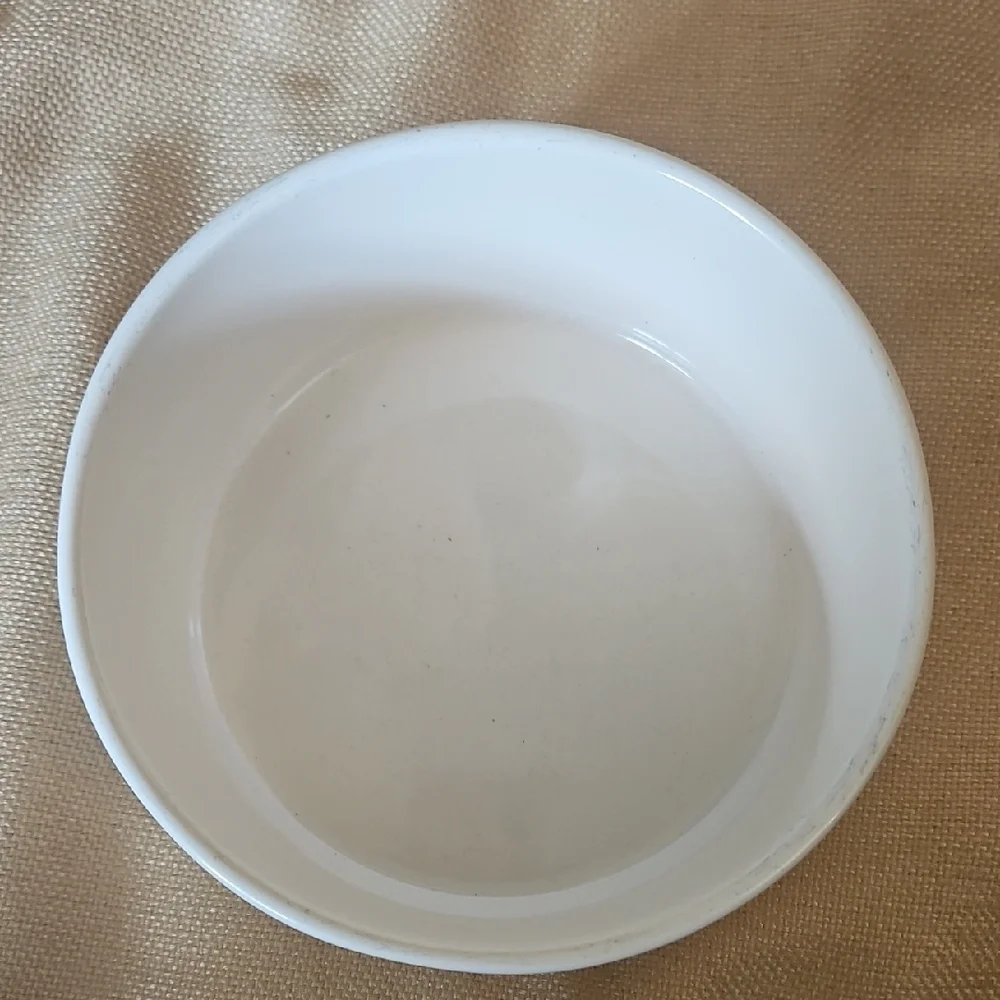 Rae Dunn White Ceramic Dog Bowl